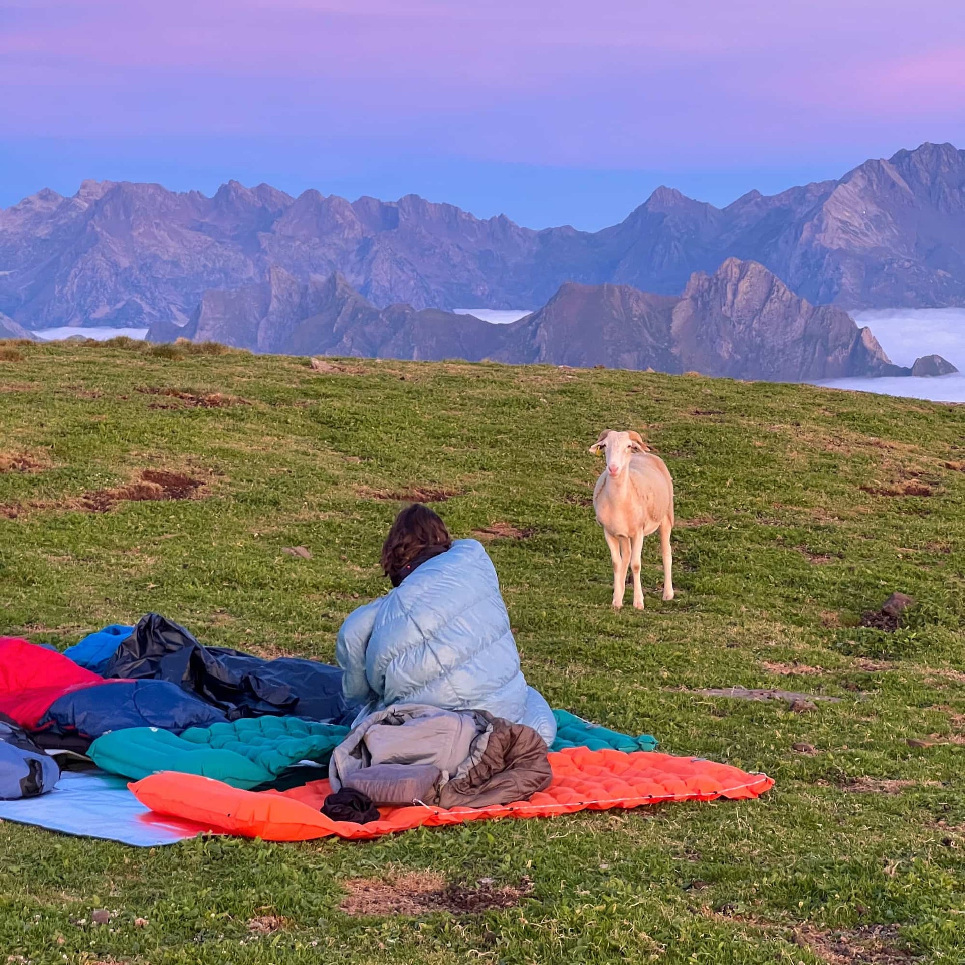 Coziya® Inflatable Sleeping Pad